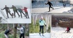 Montage photos, raquette, ski nordique, ski de fond, débroussaille, 161205