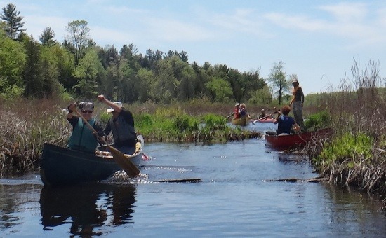 Grippen Creek, Frontenac ABR, aux Patriotes 2018. Photo par Odile Gruet.