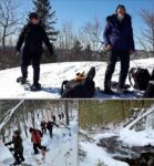 260217 Montage Meo Rep Beaulne