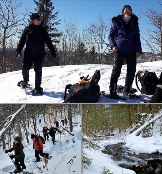 260217 Montage Meo Rep Beaulne